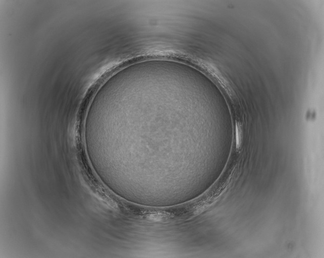 X0000091360579200708101421