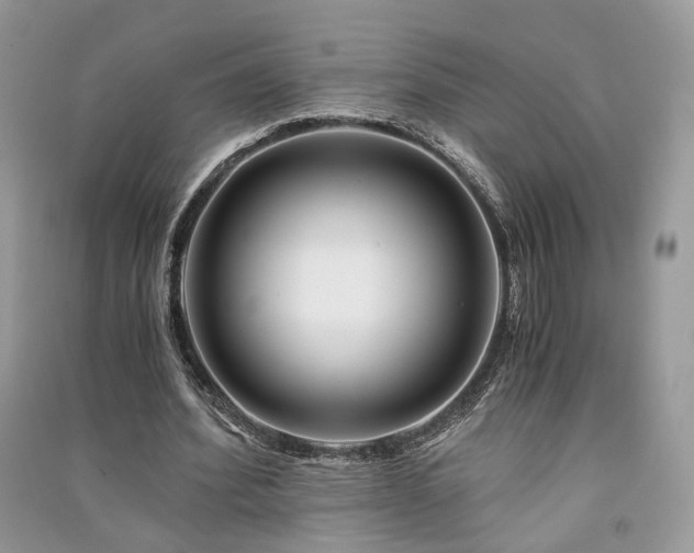 X0000091360580200708101421