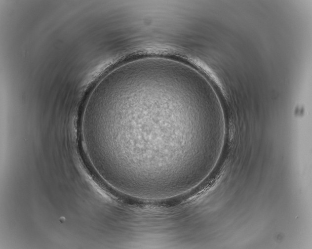 X0000091360581200708101421