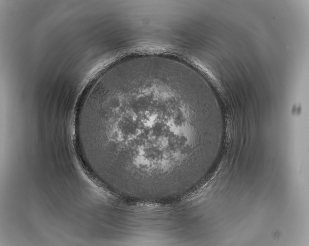 X0000091360582200708101421