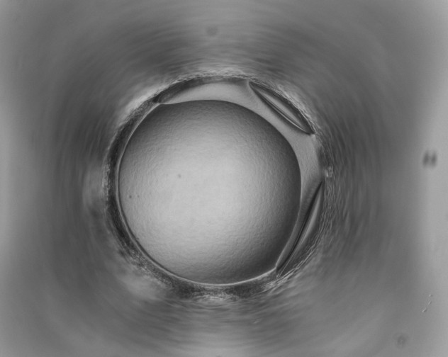 X0000091360583200708101421