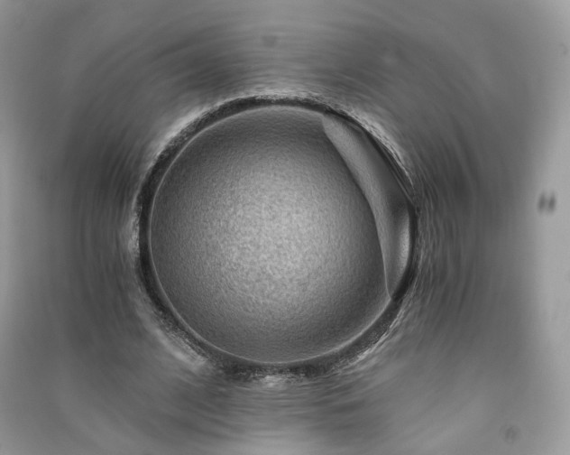 X0000091360584200708101421