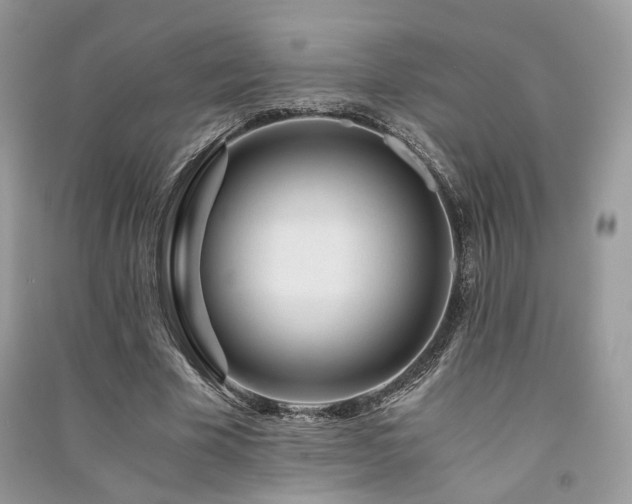 X0000091360585200708101421