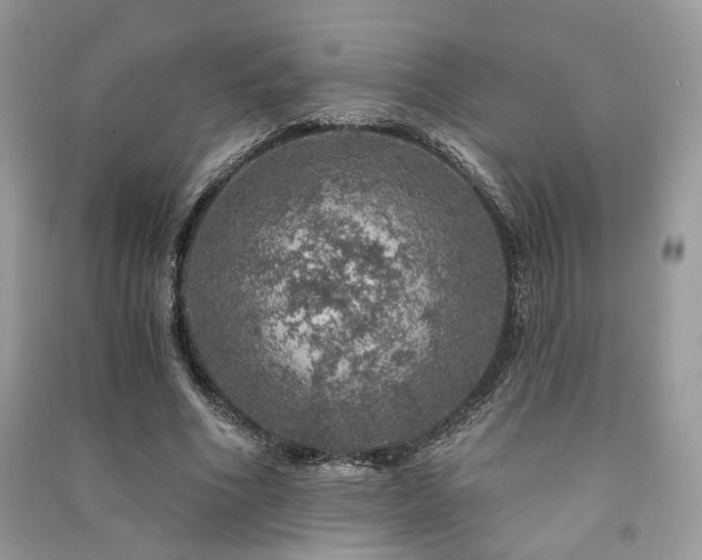 X0000091360586200708101421