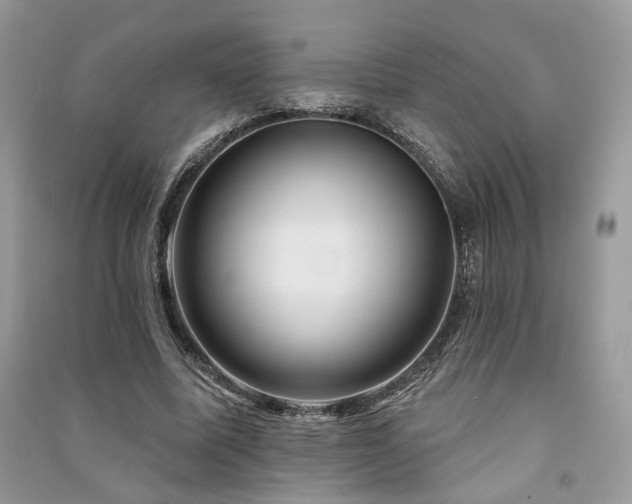 X0000091360587200708101421