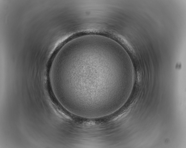 X0000091360588200708101421