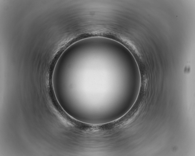 X0000091360589200708101421