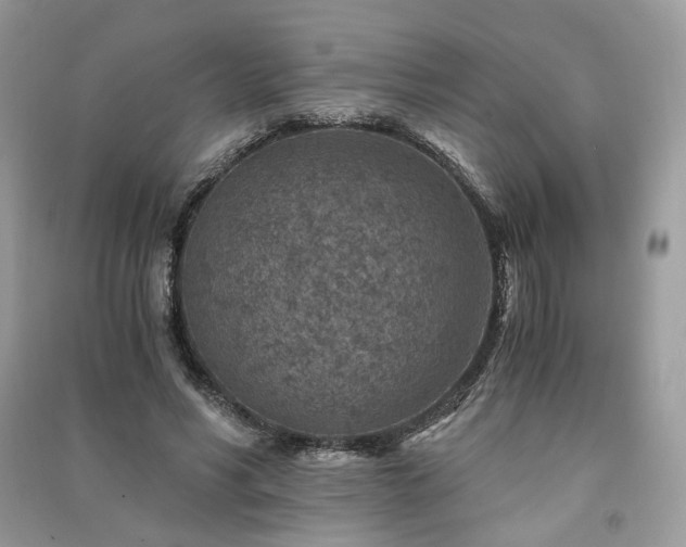 X0000091360590200708101421