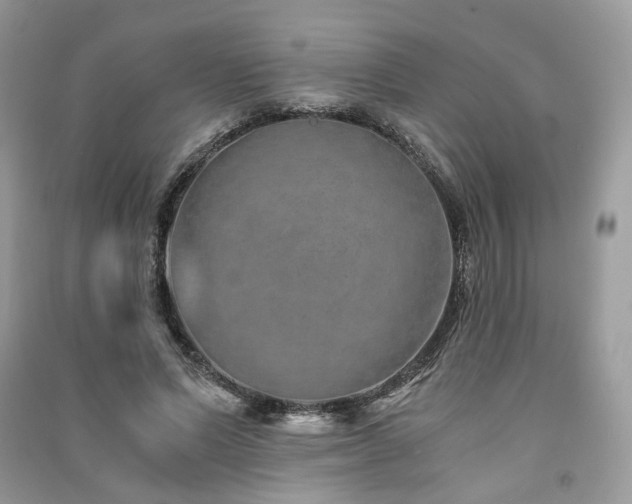 X0000091360591200708101421