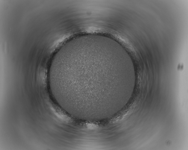 X0000091360592200708101421