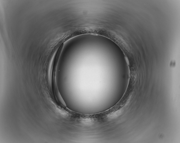 X0000091360593200708101421