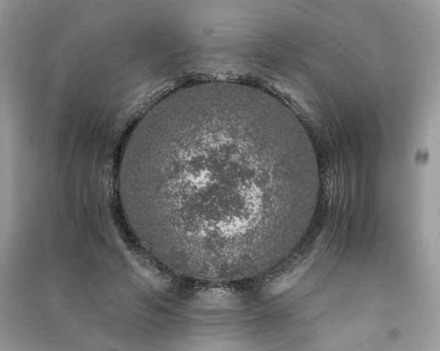 X0000091360594200708101421