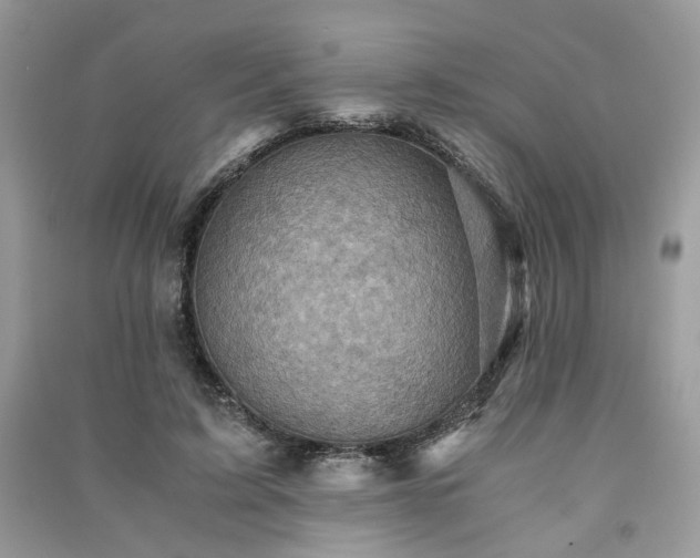 X0000091360595200708101421