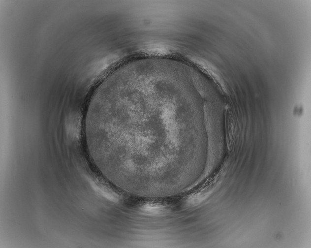 X0000091360596200708101421