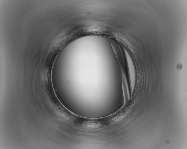 X0000091360597200708101421