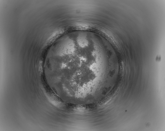 X0000091360598200708101421