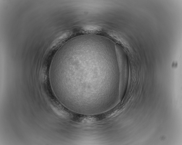 X0000091360599200708101421