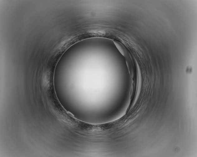 X0000091360600200708101421