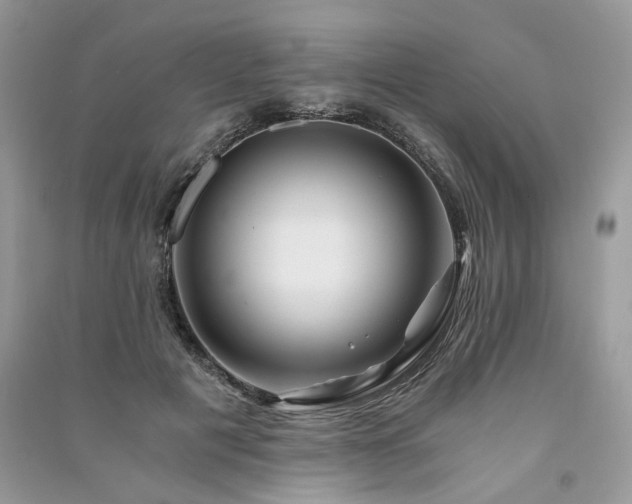 X0000091360601200708101421