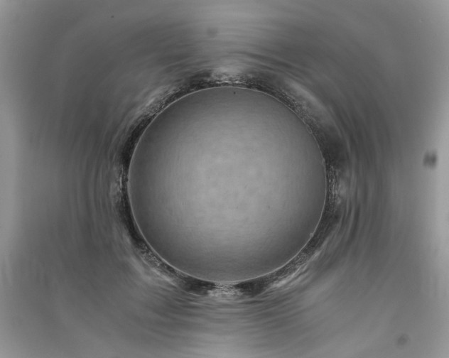 X0000091360603200708101420