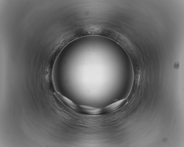 X0000091360604200708101420