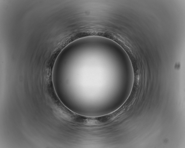 X0000091360605200708101420