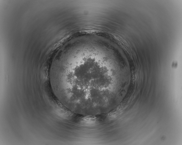 X0000091360606200708101420