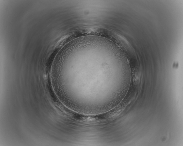 X0000091360607200708101420