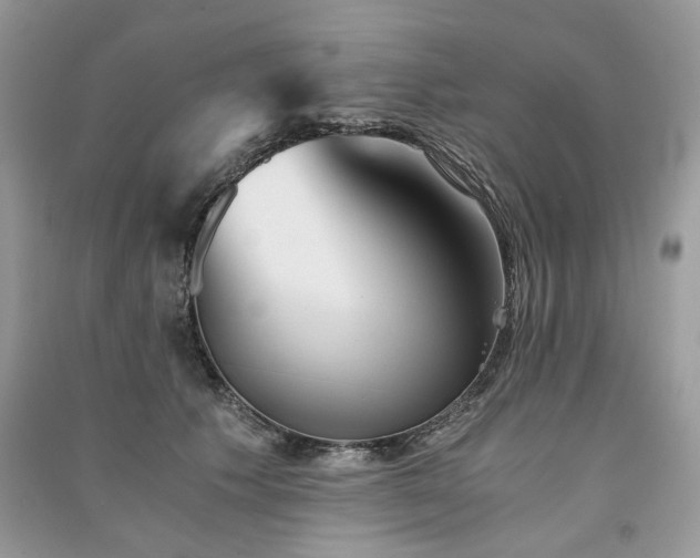 X0000091360609200708101420
