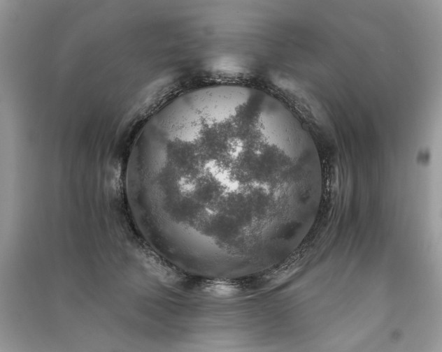 X0000091360610200708101420