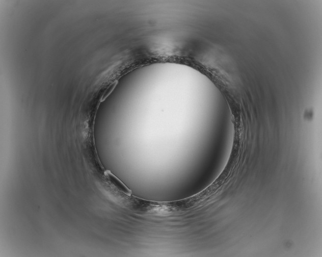 X0000091360611200708101420