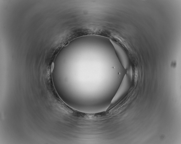 X0000091360613200708101420