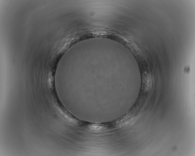 X0000091360614200708101420