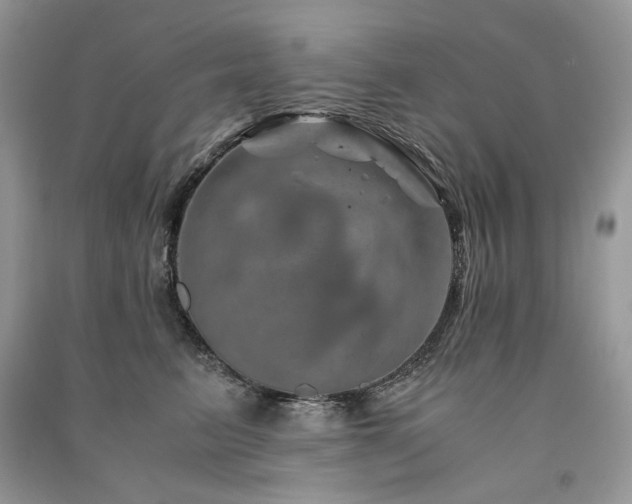 X0000091360615200708101420