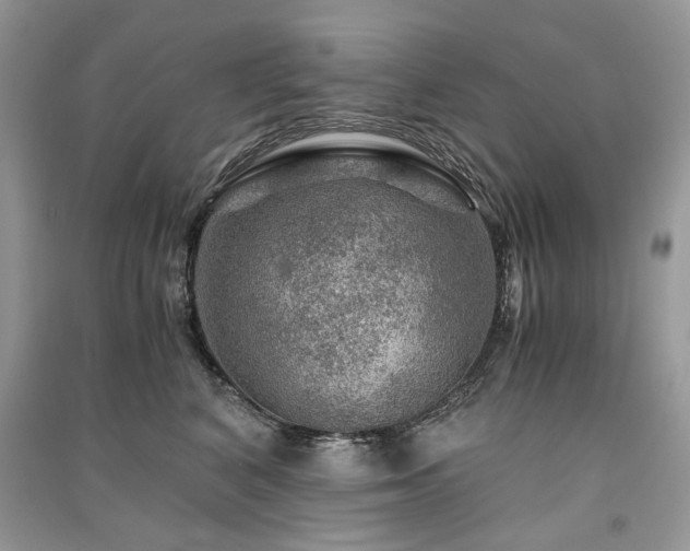 X0000091360616200708101420