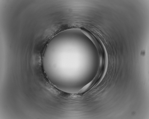 X0000091360617200708101420