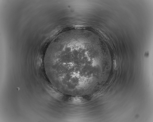 X0000091360618200708101420