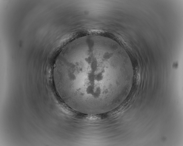 X0000091360619200708101420
