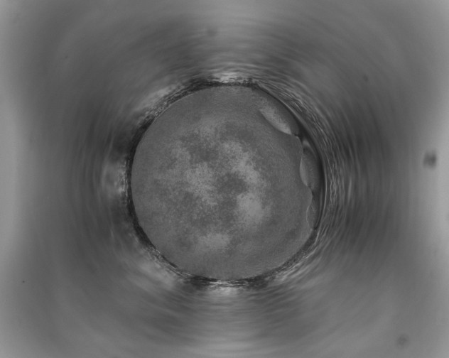 X0000091360620200708101420