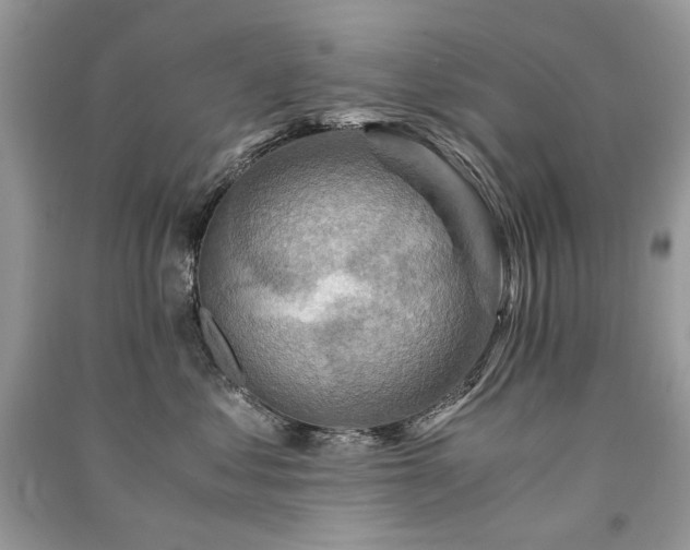 X0000091360621200708101420