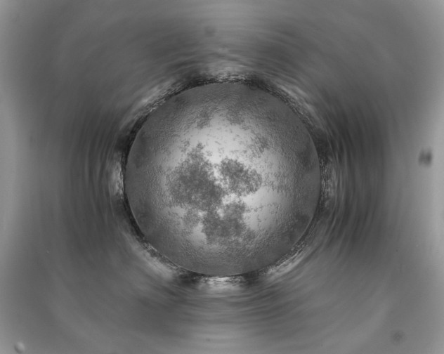 X0000091360622200708101420