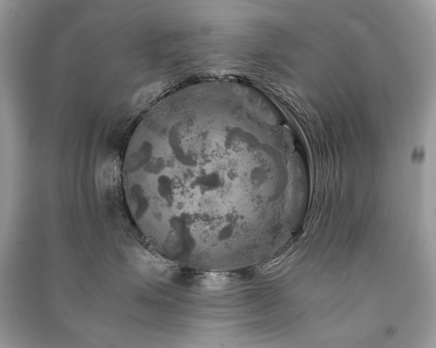 X0000091360623200708101420