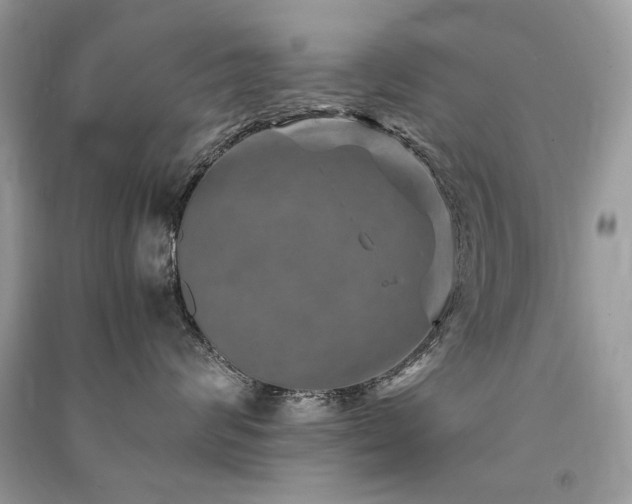 X0000091360624200708101420