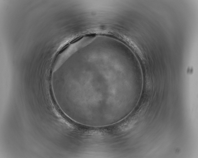 X0000091360625200708101420