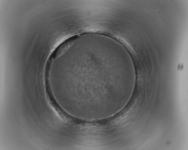 X0000091360626200708101420