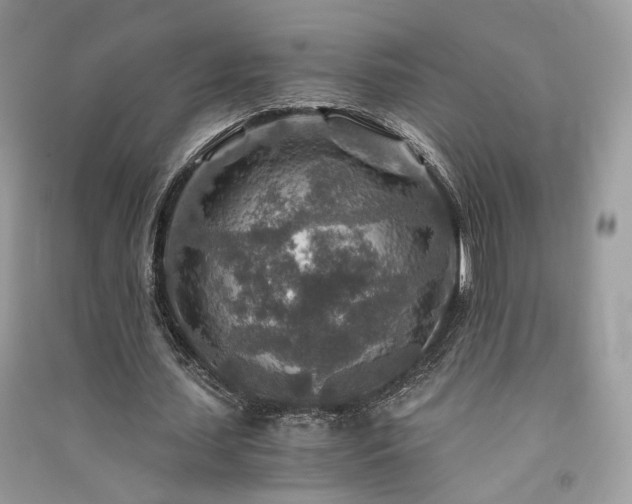 X0000091360627200708101420