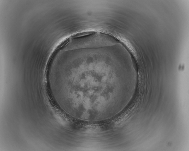 X0000091360628200708101420