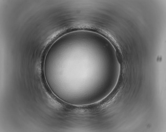 X0000091360629200708101420