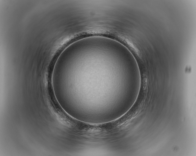X0000091360631200708101420