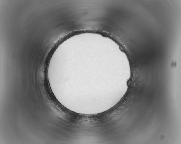 X0000091360632200708101420